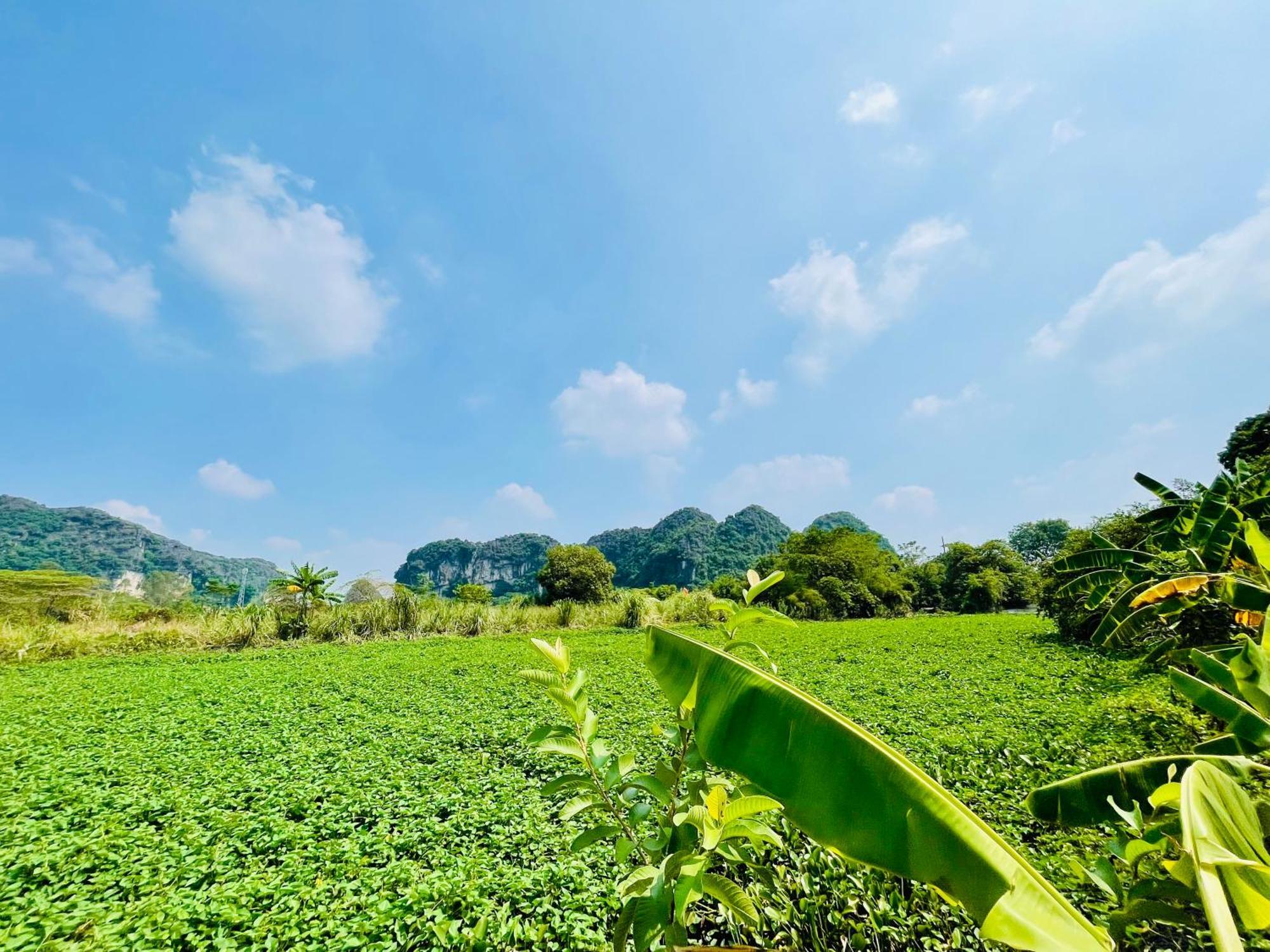 נין בין Trang An Lotus Lake Homestay מראה חיצוני תמונה