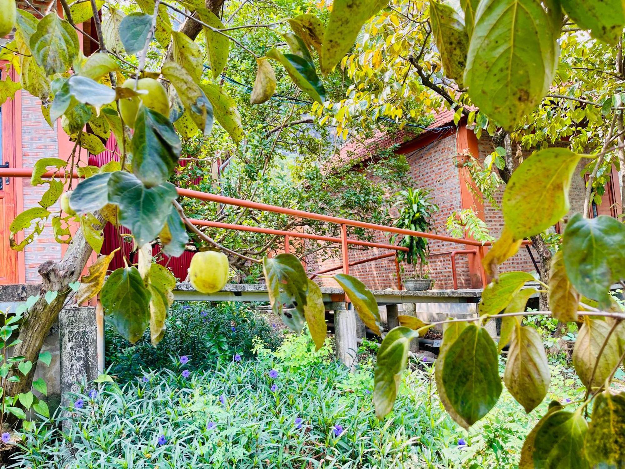 נין בין Trang An Lotus Lake Homestay מראה חיצוני תמונה