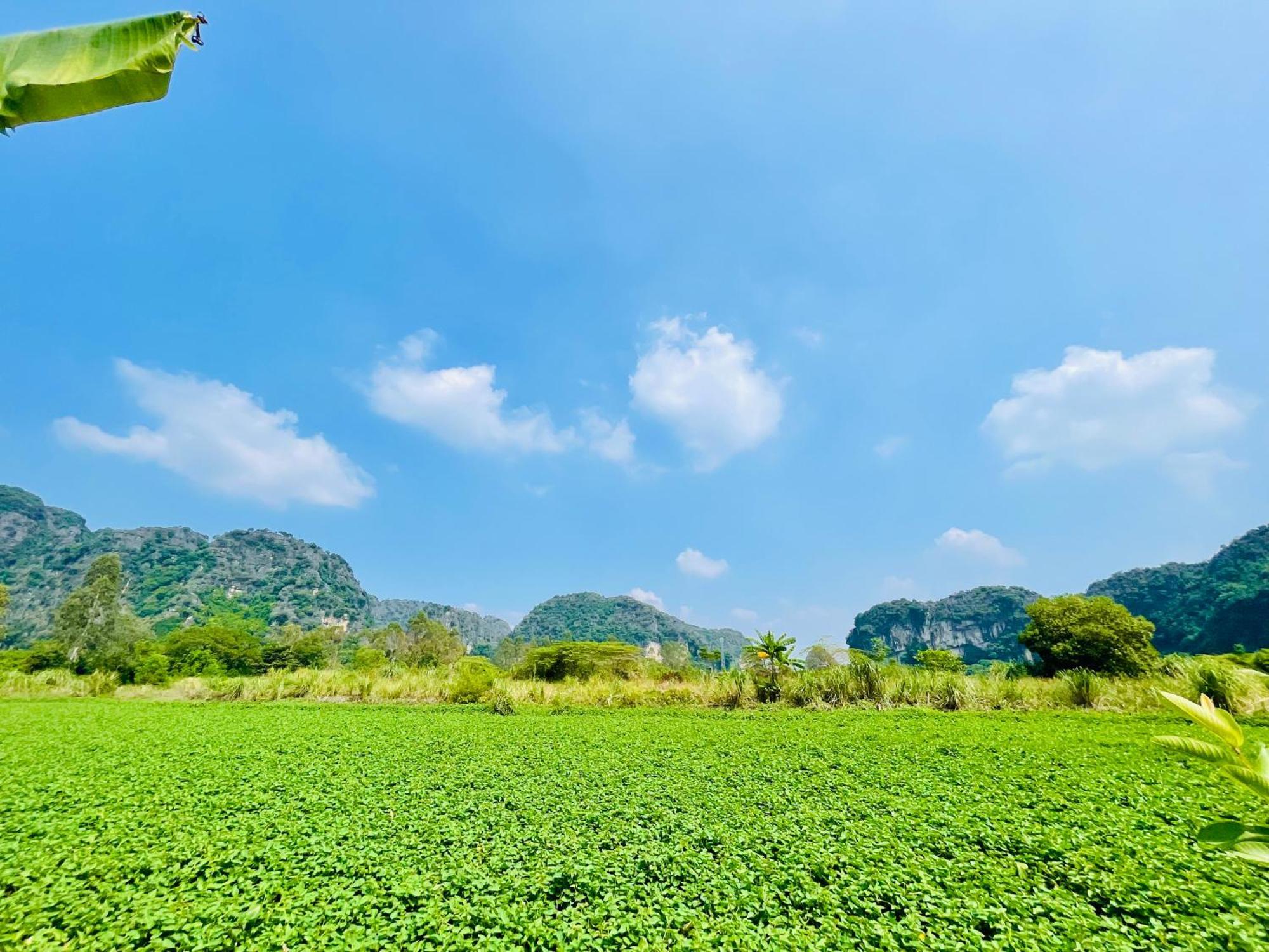 נין בין Trang An Lotus Lake Homestay מראה חיצוני תמונה