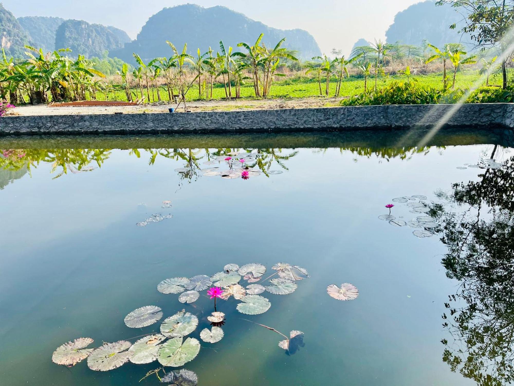 נין בין Trang An Lotus Lake Homestay מראה חיצוני תמונה